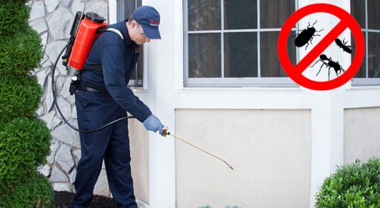 Olur Kemirgen İlaçlama böcek ilaçlama ve haşere kontrolü — ilaclama-tr.com